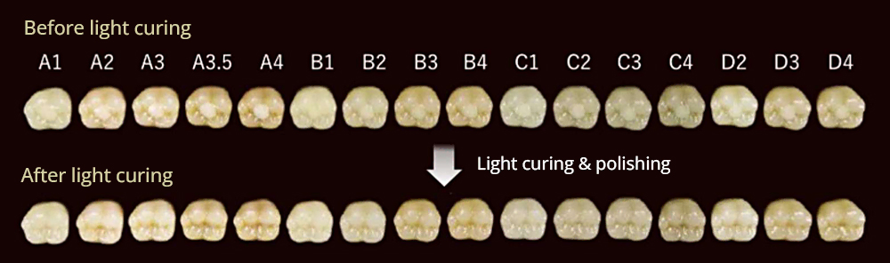Shade guide