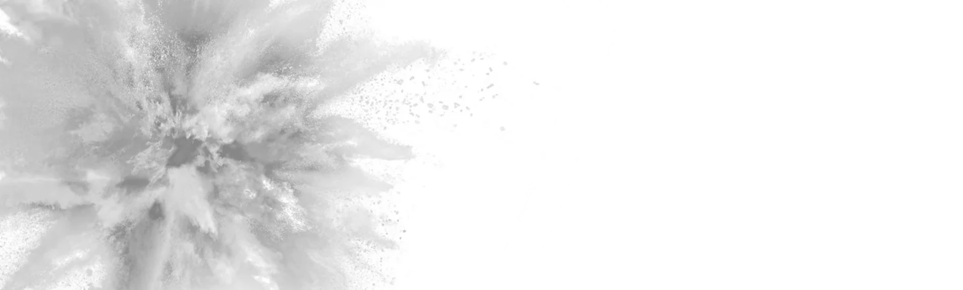 PALFIQUE OMNICHROMA BLOCKER